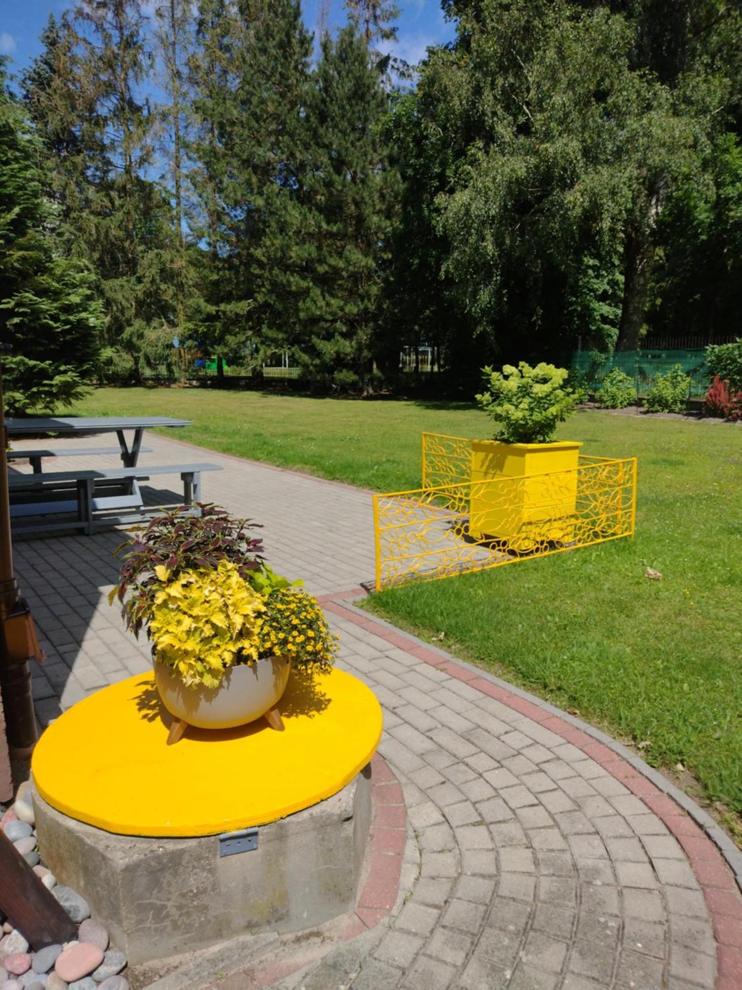 Bukowe Zacisze Gąski Quarto foto